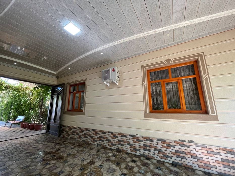 Havaskor mushuk paypoq video