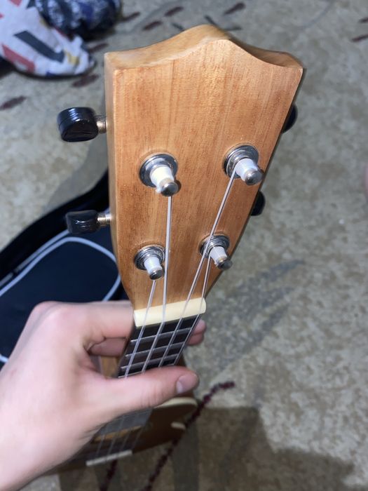 Необычный укулеле