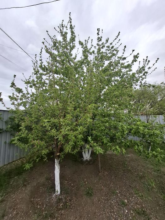 Дом жылой массив