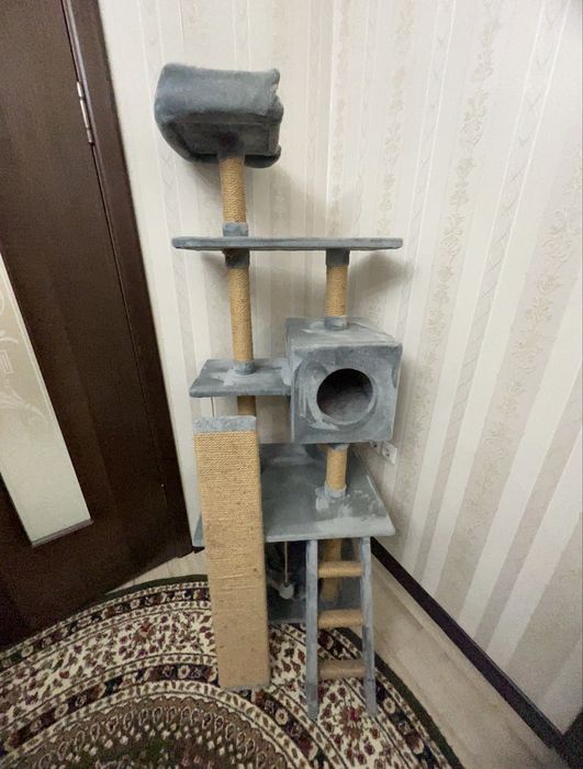 Супер Кошкин дом