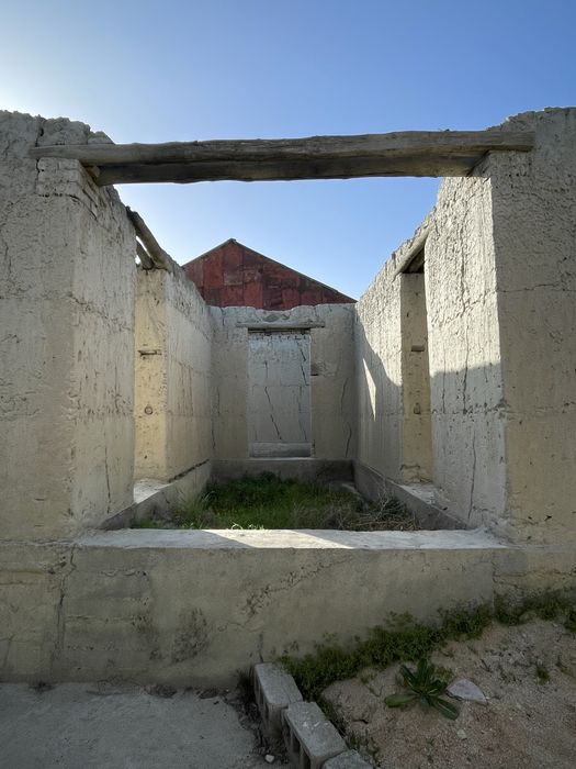 уч срочна сотилади