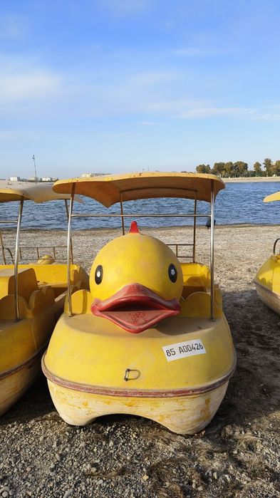 4 ta katamaran sotiladi,holati yaxshi