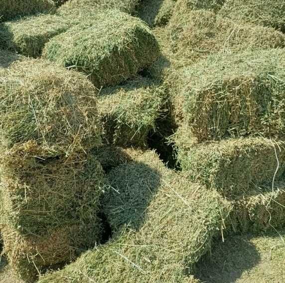 Малға Жем Шөпті. 1 Тонна Бидай. 100 шақты пресс үлкен. 200 кг. Ассорти