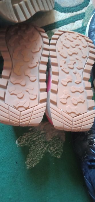 Красовка разные  зима лето