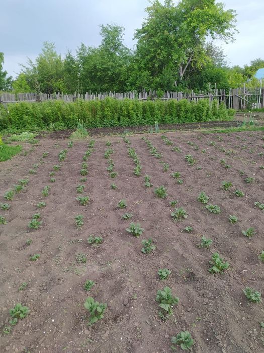 Продам благоустроенную дачу