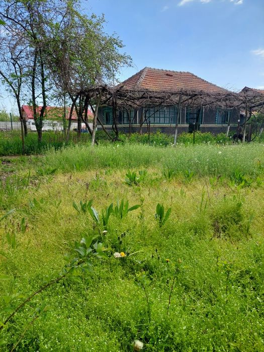 Vânzare teren cu casa batraneasca în  Merii Petchii, Ilfov