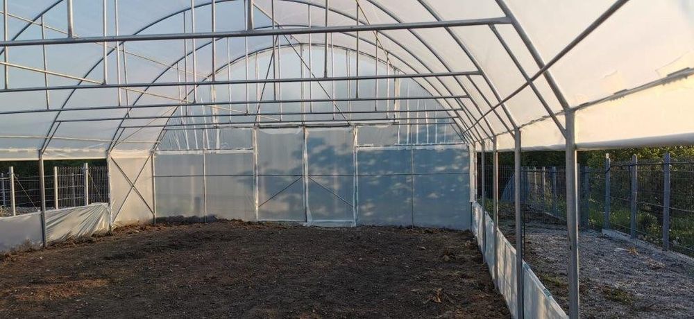 Solarii Rezistente  Baleni Sârbi