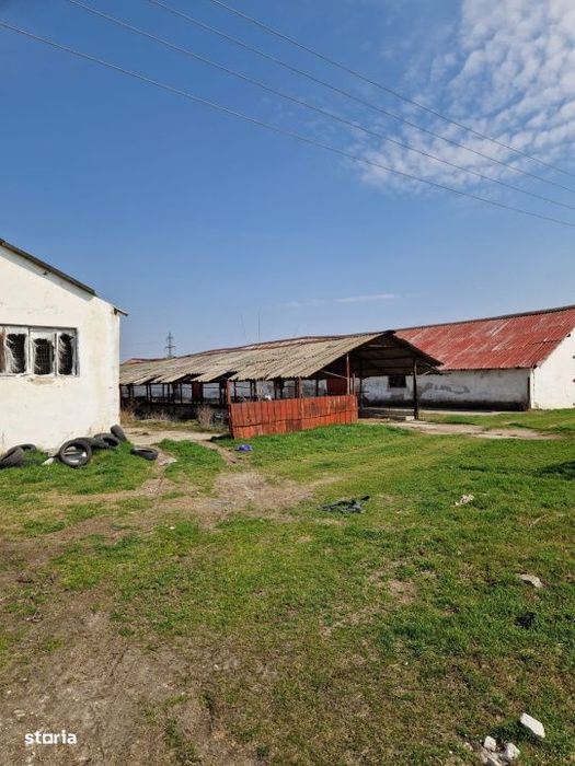 Ferma de vanzare 8 ha – Bals, judetul Olt