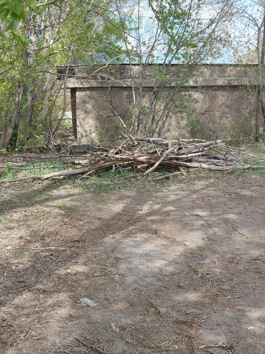 Сухие ветки на дрова