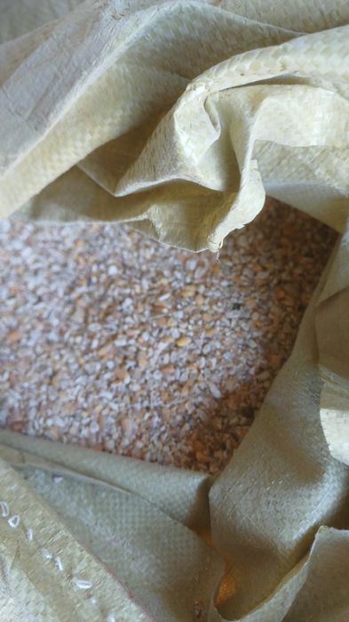 Продам кукурузу сечка