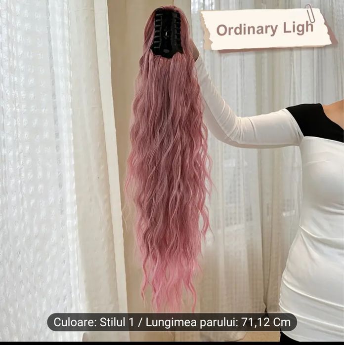 Coada par roz cu cleste