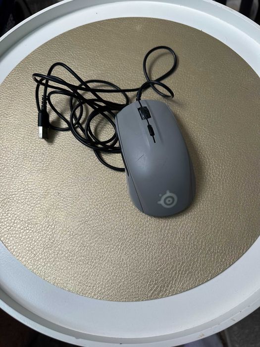 Mouse gaming SteelSeries Rival 110 Silver
