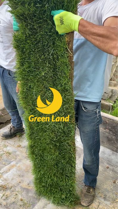 Landshaft dizayn, avtopoliv, gazon urug’i va ruloni, daraxtni dorilash