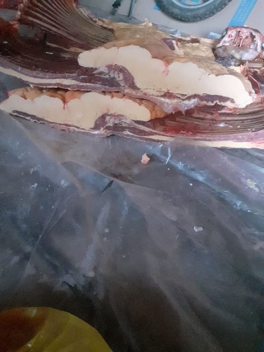 Продам согым,конина