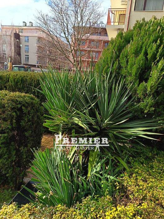 Продава се Едностаен апартамент в к.к. Слънчев бряг - 33 кв.м за 619 €/кв.м - Снимка #4