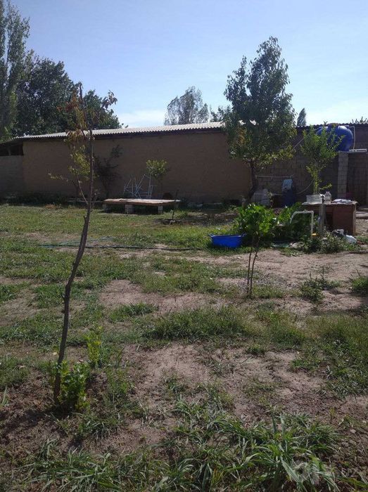 Бустонлик тум Абай мах 8 соток 4 хона + айвон ховли сотилади.
