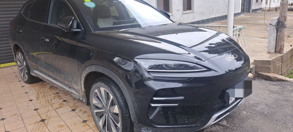 BYD champion restalin