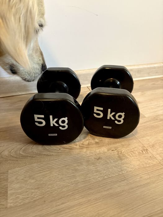 Gantere/kettlebell