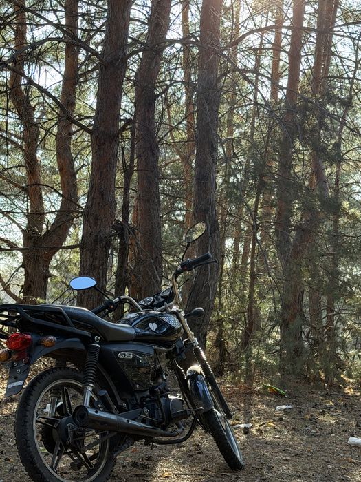 Racer 110GS, racer alpha