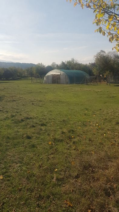 Продава се Парцел в Кюстендил, Бял камък - 4720 кв.м за 11 €/кв.м - Снимка #6