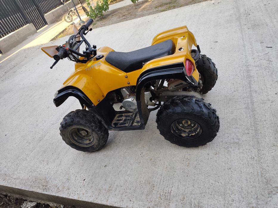 Atv 125 ccm pentru copii cutie automata