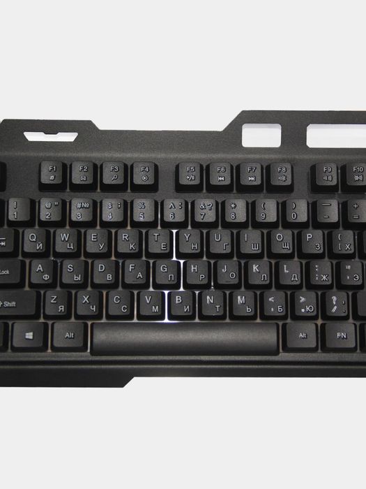 Oʻyin klaviaturasi va sichqoncha.