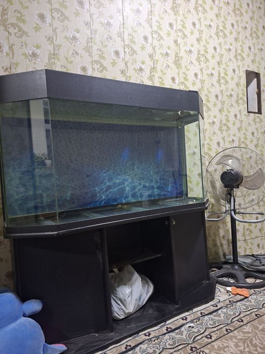 Аквариум  срочно