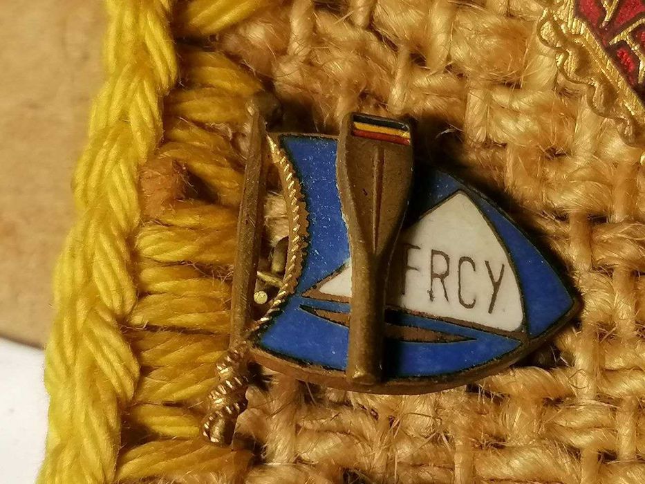 Mini colectie de insigne militare