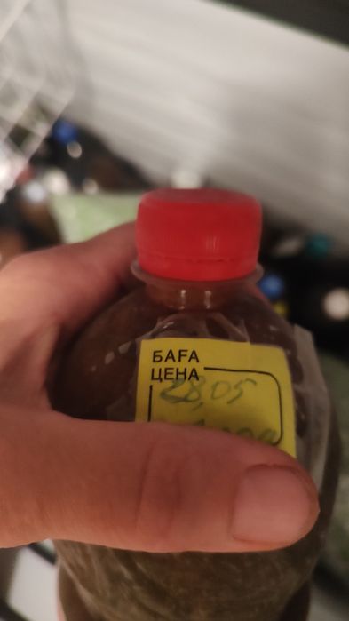 Продам сок лопуха 6500тг за 1 л