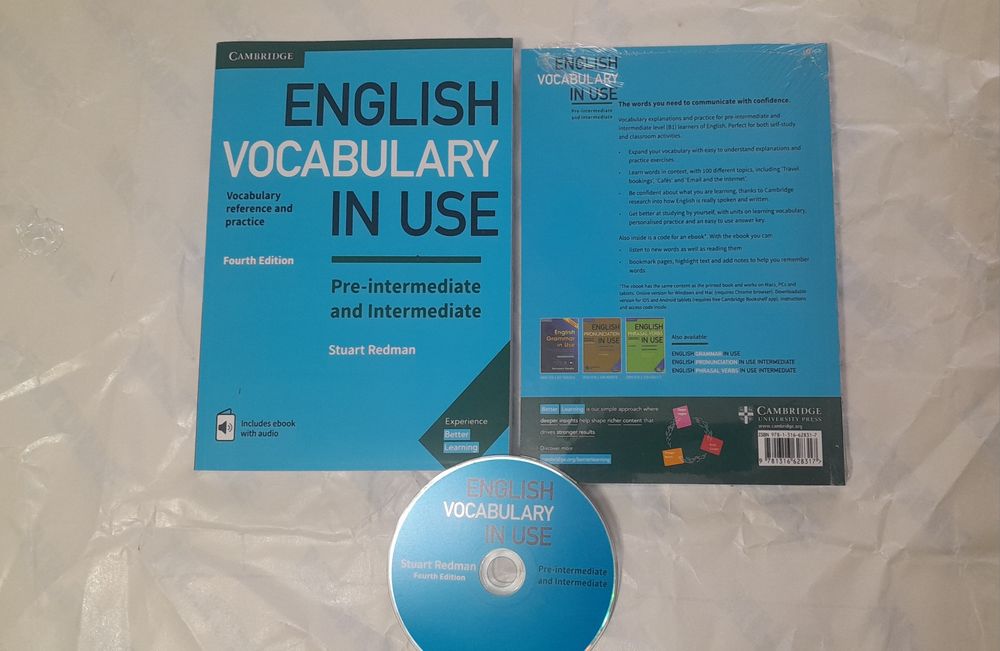English vocabulary in use с диском