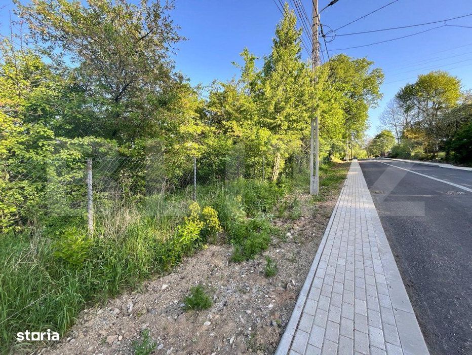 Teren intravilan ,cu vegetatie, 2700 mp, zona Siret