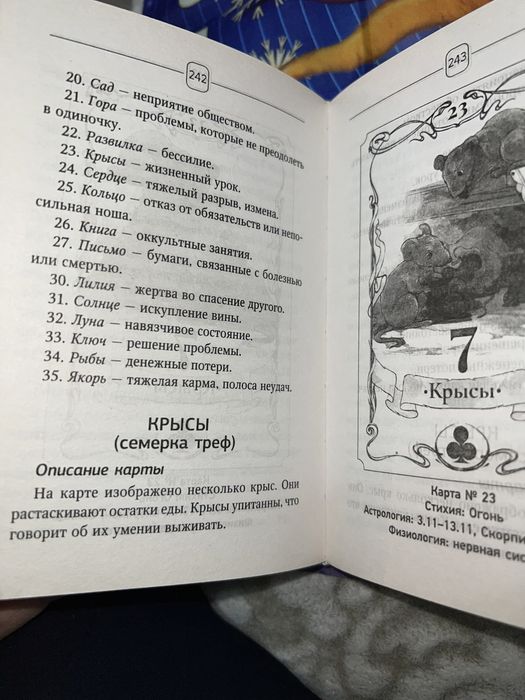 Книга по картам Ленорман