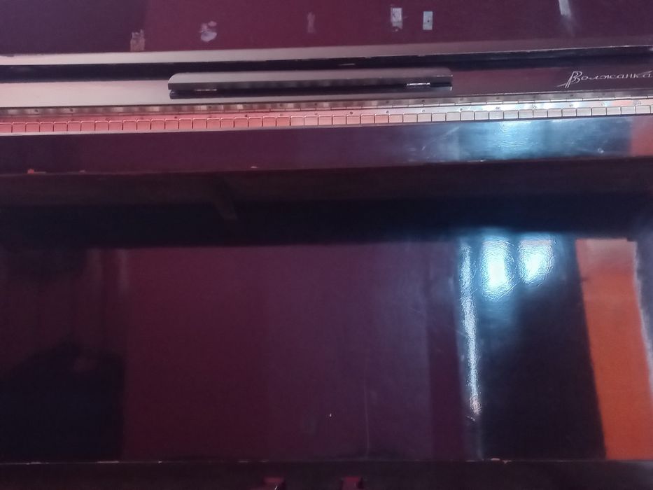 Россиески Волжанка pianino sotiladi