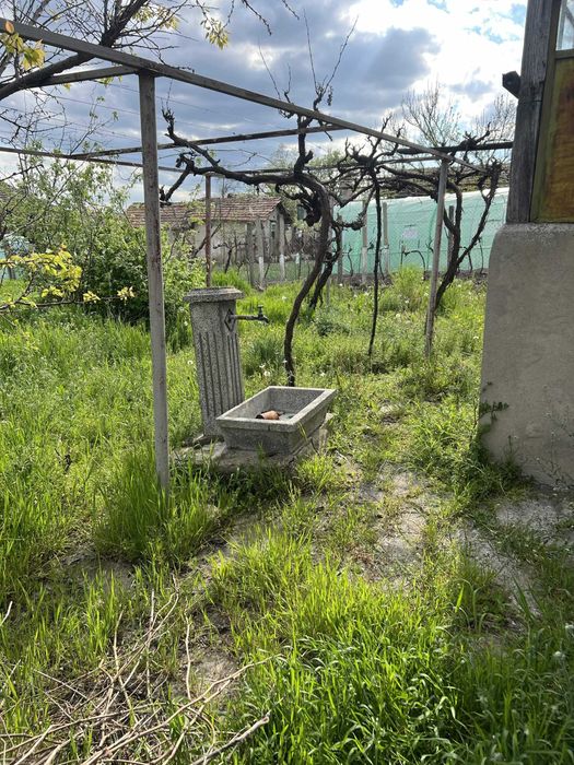 Парцел с къща 1489 кв.м с. Памукчии, обл. Шумен