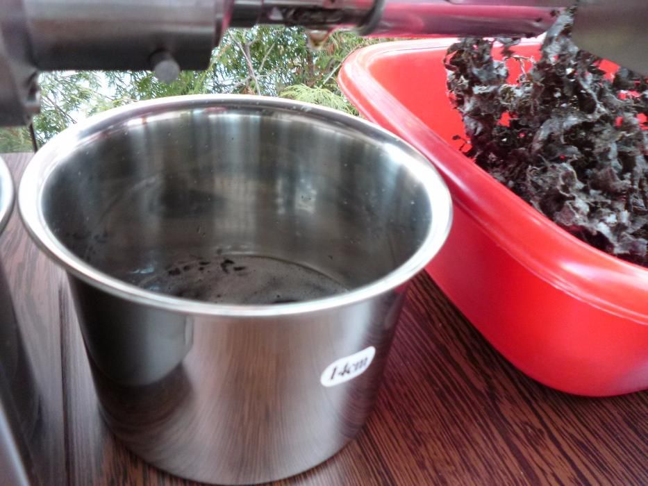 Presa ulei la rece - 0.4Kw 220V inox Garantie 1 an