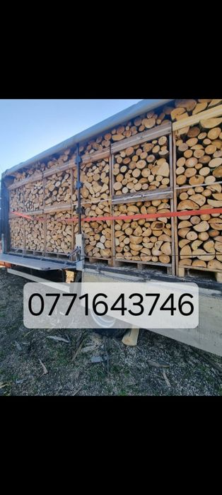 Lemne de foc fag si stejar