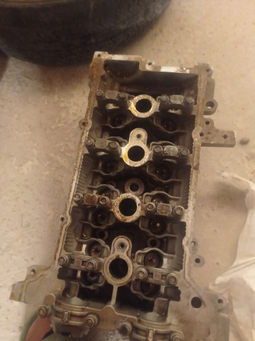 Кобылт родной галопкыс 2014 жыл жагдай жаксы