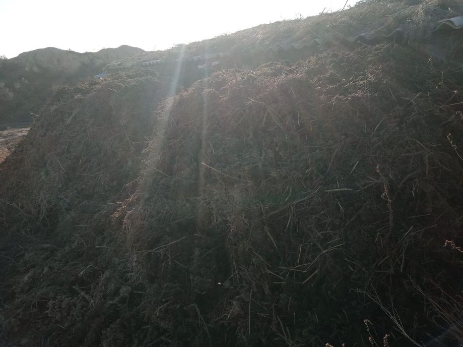 Арзон  нархда Мол гунги (нури) сотилади