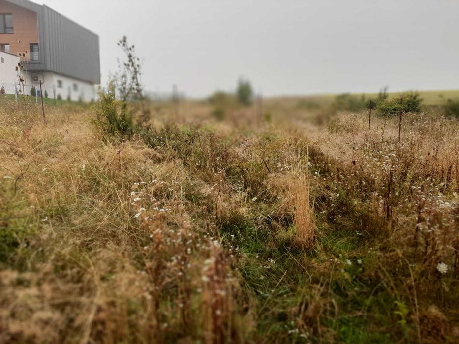 Teren intravilan de vânzare – Sălicea, jud. Cluj