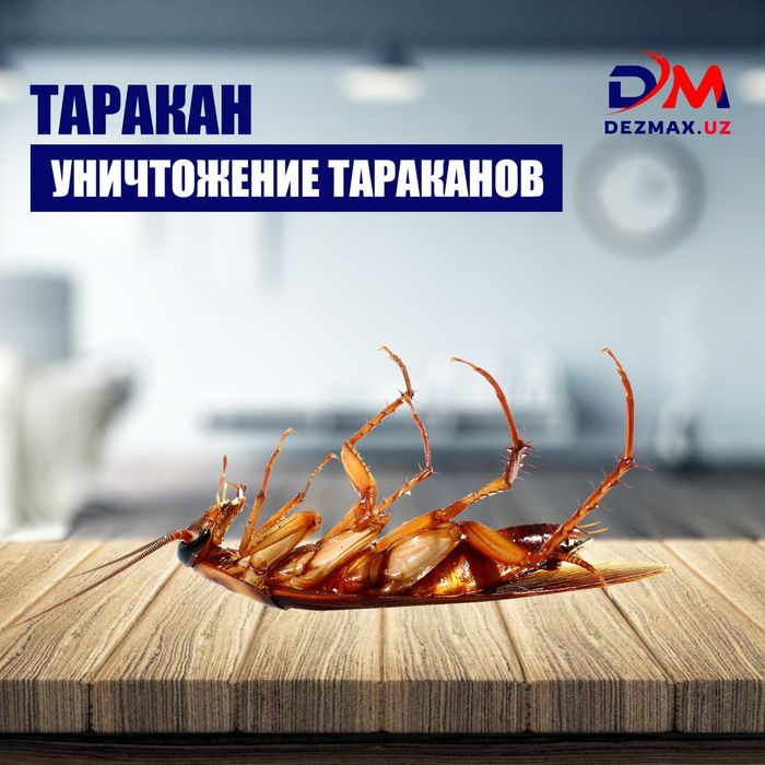 ДИҚҚАТ! Акция -10% (Дезенсекция Дезинфекция Клопа Таракан)