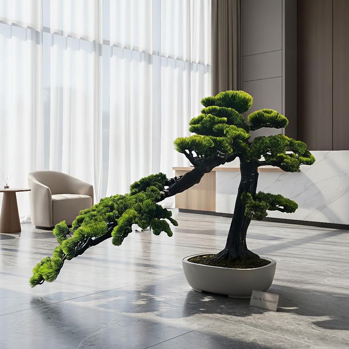 bonsai japonez - produse pentru Casa si gradina | OLX.ro