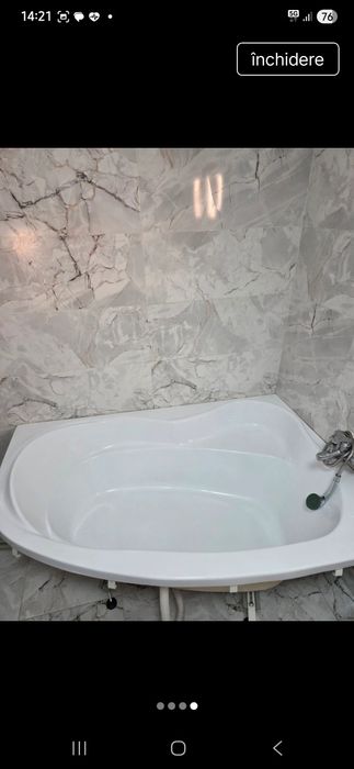 Cada pe colt in stare perfecta folisita 1 an