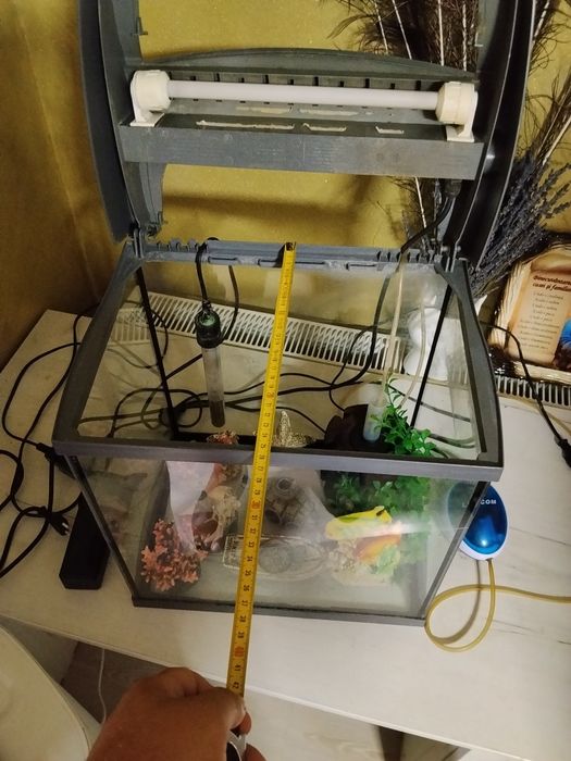 Acvariu peștișori echipat complet
