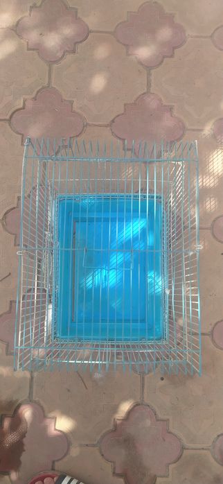 Qush qafasi sotiladi