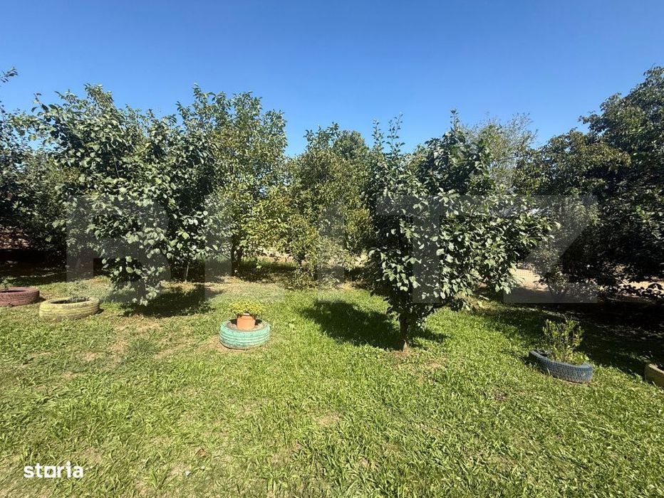 Teren intravilan, 2232 mp, Lisaura