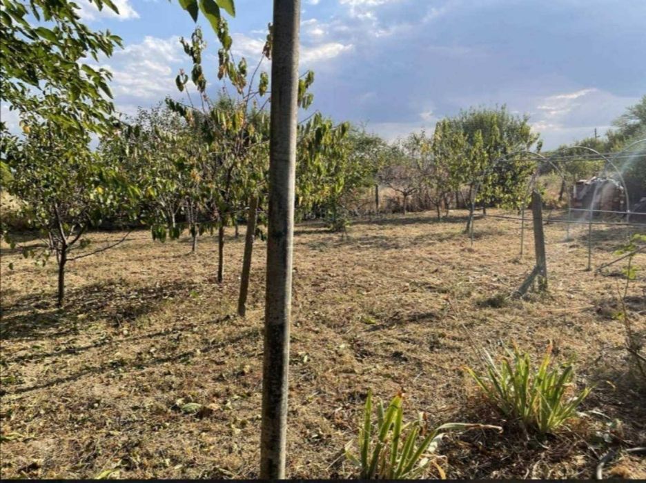 Продава се Къща в с. Кръстевич, Област Пловдив - 740 кв.м за 36 €/кв.м - Снимка #2