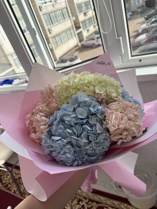 Продам цветы срочно!