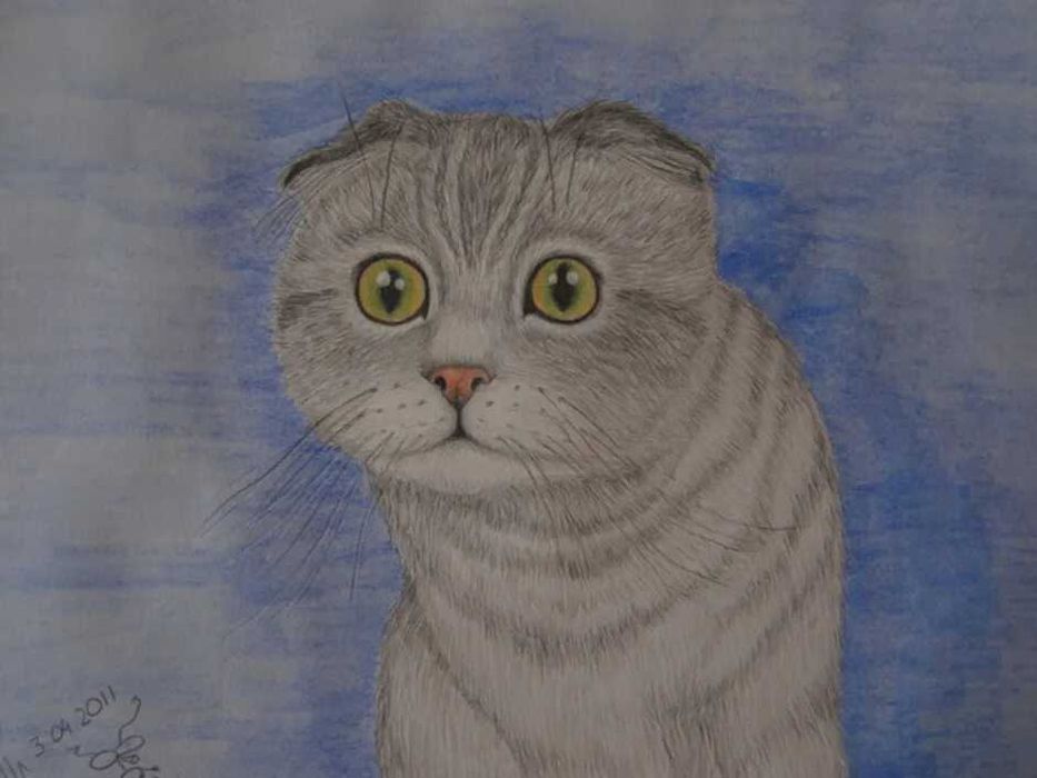 Рисую ваших домашних животных
