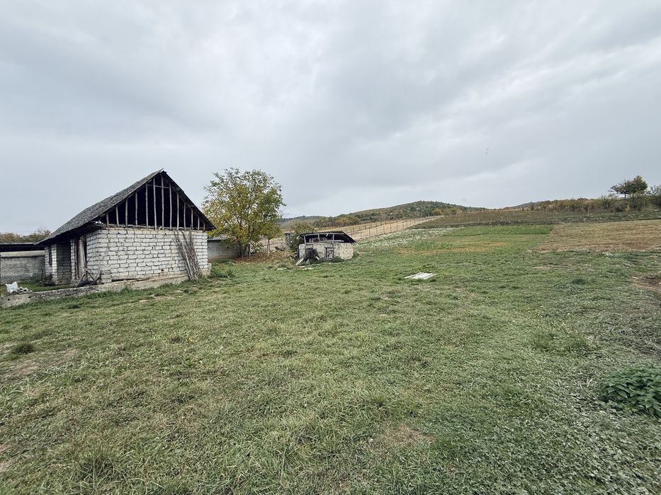 Vand casa in Pestis Judetul Bihor