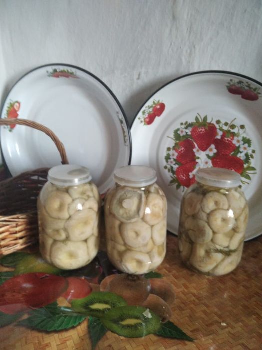 Продаются грузди